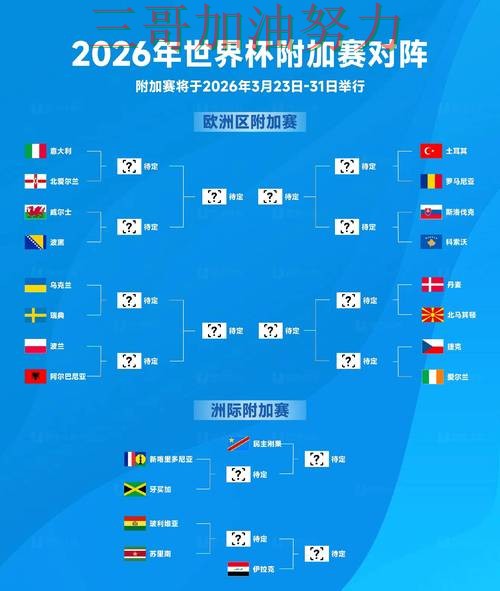 世界杯竞猜真实体验总结：怎么选关键点解析（2026世界杯）
